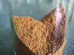 How To Make Classic African Berber Rub